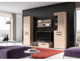 Гостиная «Кёльн» Вариант 5