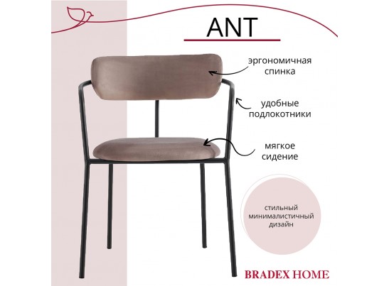 Комплект из 2-х стульев Ant латте в Каменске-Уральском