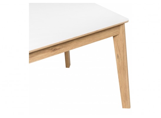 Стеклянный стол Арья белый / дуб монтана в Каменске-Уральском