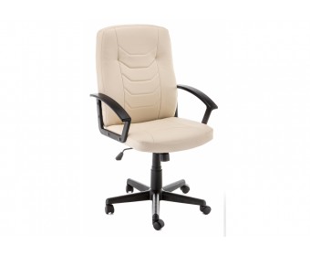 Компьютерное кресло Darin Ivory