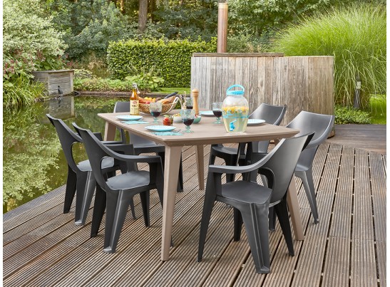 Стул Dante Lowback