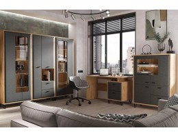 Кабинет Грейс 1