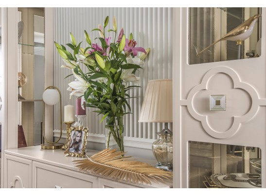 Витрина Фелисия 1-ств мокко