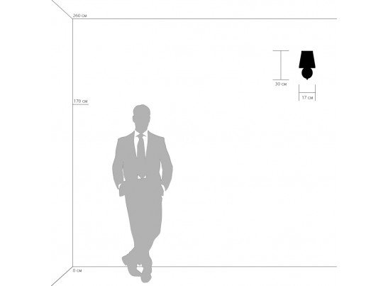 Бра Engenuo Lightstar 779508 в Каменске-Уральском