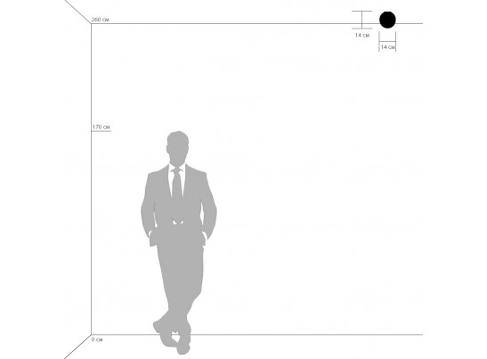 Плафон потолочный Globo Lightstar 803010 в Каменске-Уральском
