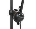 Бра Loft Lightstar 765627 в Каменске-Уральском