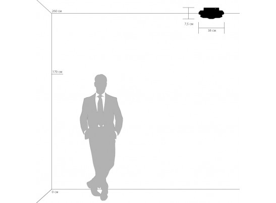 Светильник потолочный Favo Lightstar 750071 в Каменске-Уральском