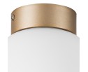 Плафон потолочный Globo Lightstar 812013 в Каменске-Уральском