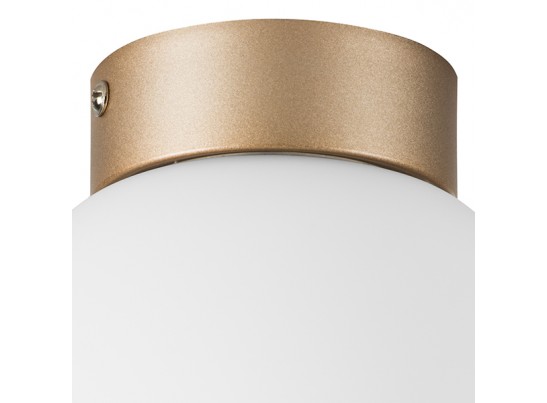 Плафон потолочный Globo Lightstar 812013 в Каменске-Уральском