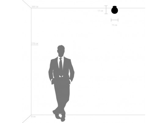 Плафон потолочный Globo Lightstar 812013 в Каменске-Уральском