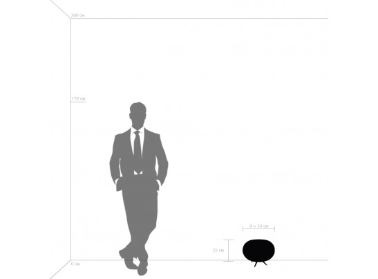 Настольная лампа Arnia Lightstar 805913 в Каменске-Уральском