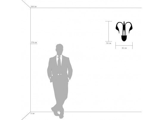 Бра Cigno Collo Lightstar 751636 в Каменске-Уральском