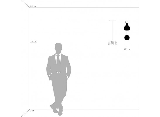 Бра Loft Lightstar 765616 в Каменске-Уральском