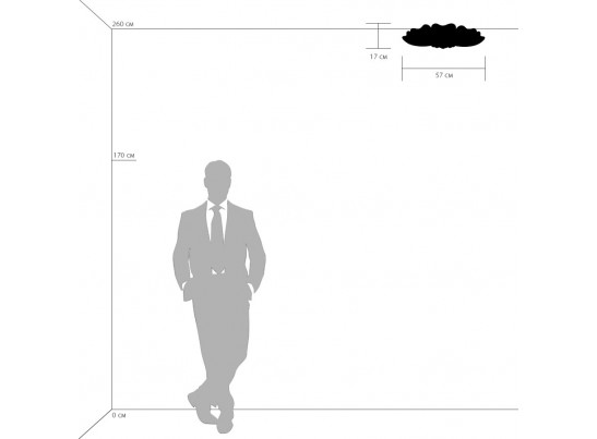 Плафон потолочный Lobo Lightstar 804020 в Каменске-Уральском