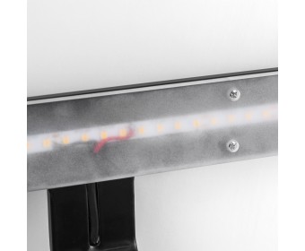 Бра/подсветка для картин (зеркал) Muro Spec Lightstar 808687-3