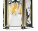 Подвес Limpio Lightstar 722013 в Каменске-Уральском
