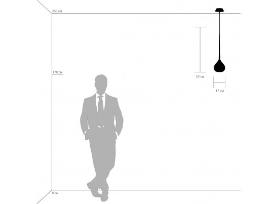 Подвес Forma Lightstar 808117 в Каменске-Уральском