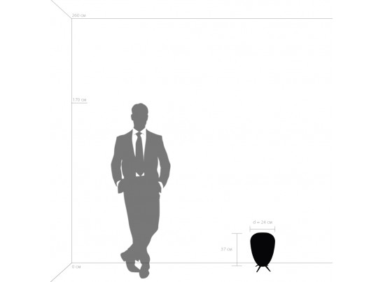 Настольная лампа Arnia Lightstar 805912 в Каменске-Уральском